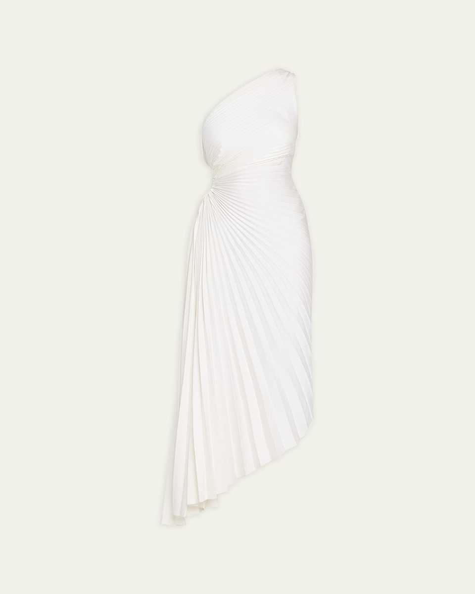 Delfina Pleated Long Asymmetric One-Shoulder Dress