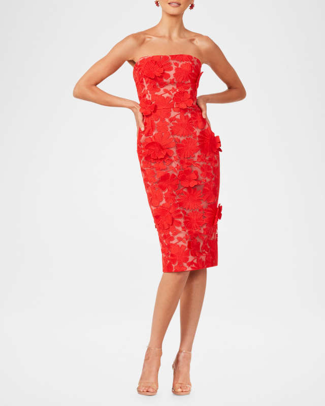 Cecilia Strapless Lace-Up Floral Applique Dress