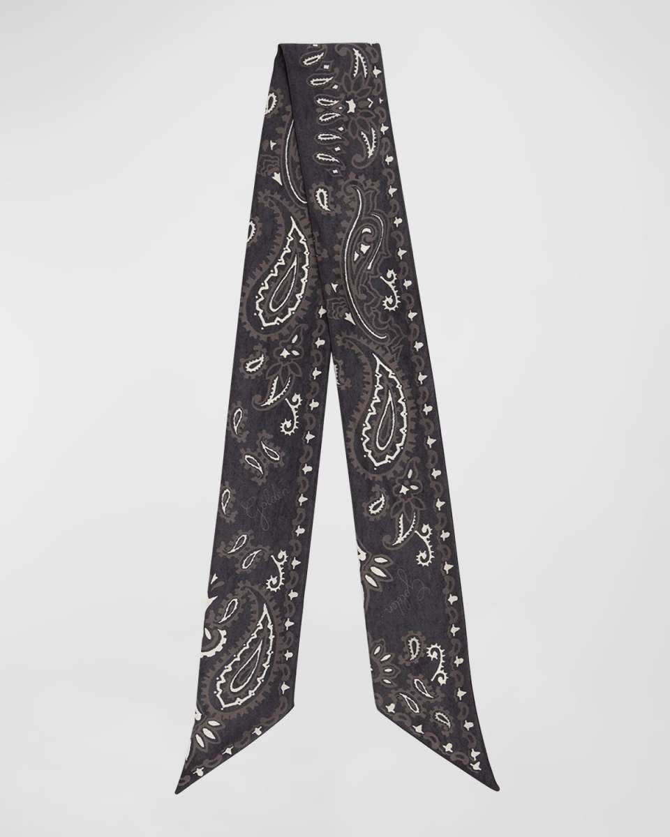 Journey Paisley Silk Twill Scarf