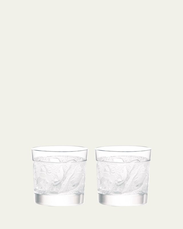 Owl Crystal Old-Fashioned Tumblers, Set of 2