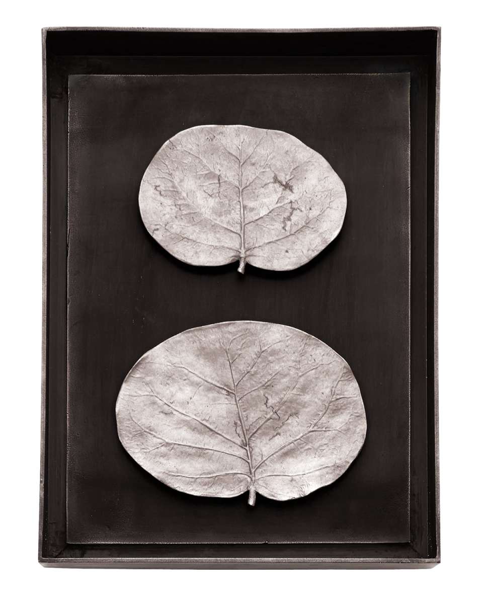 Botanical Leaf Shadow Box