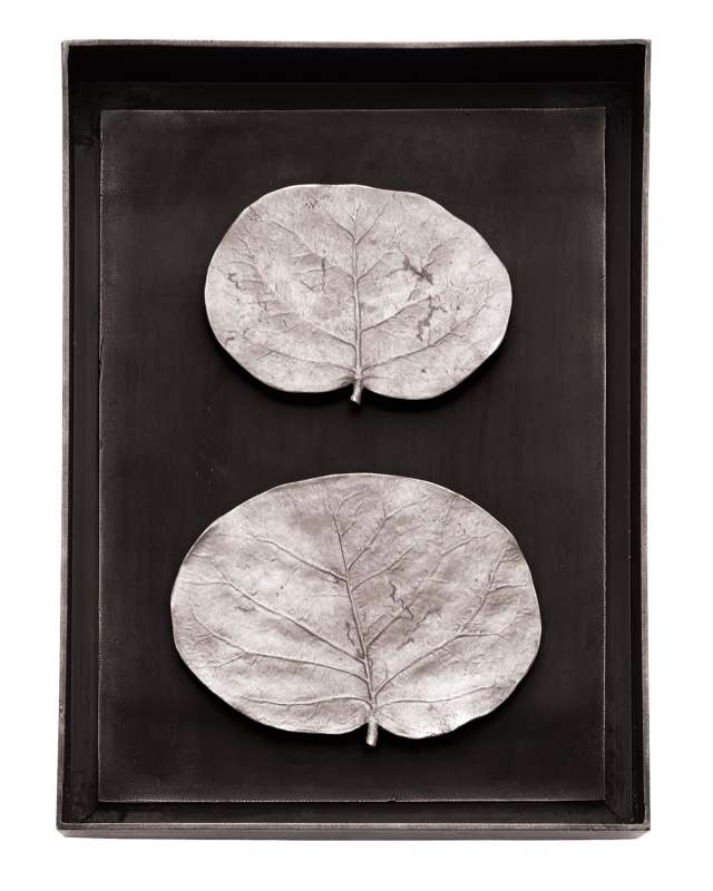 Botanical Leaf Shadow Box