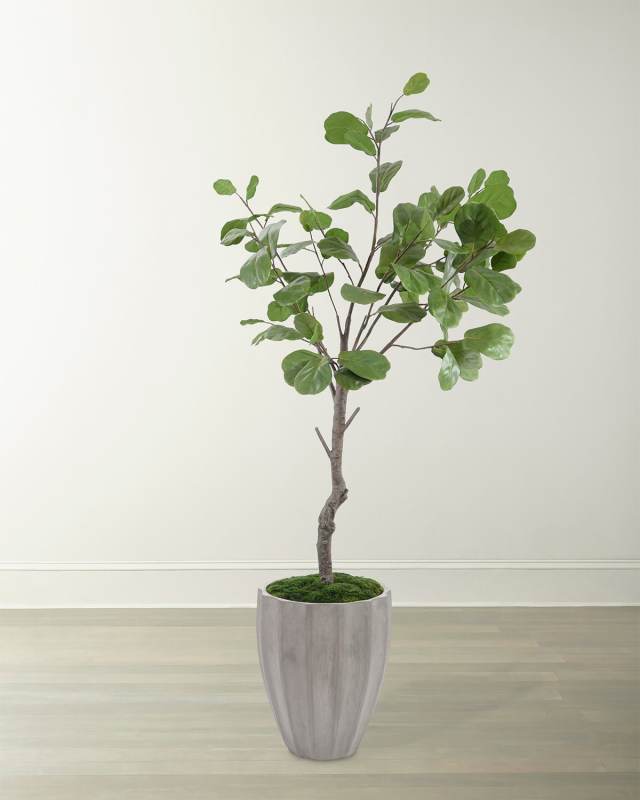 Coastal Fog Faux Fig Tree