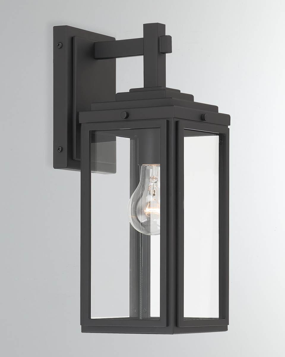 Byron 1-Light Matte Outdoor Sconce