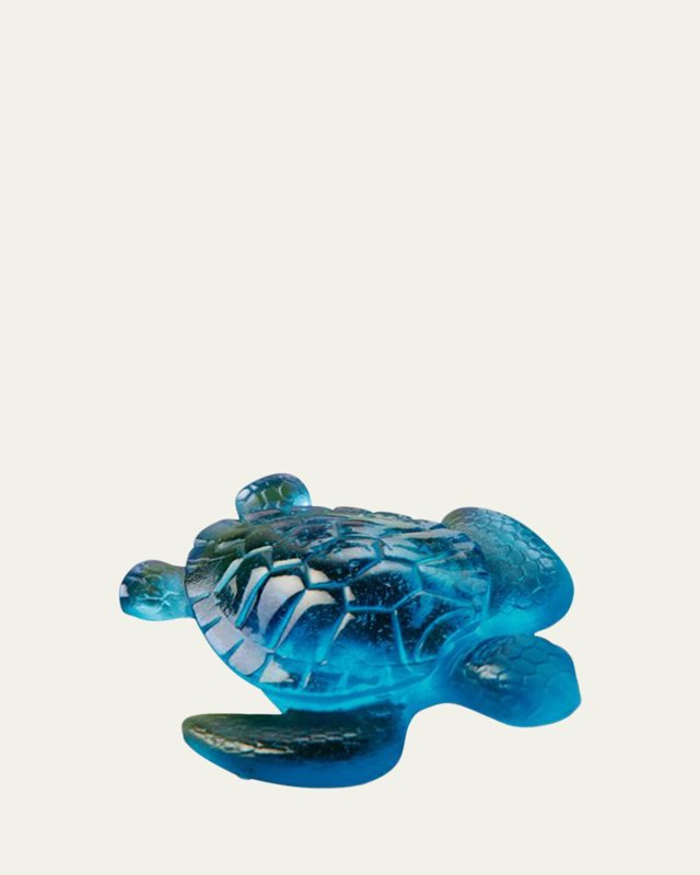 Turquoise Turtle