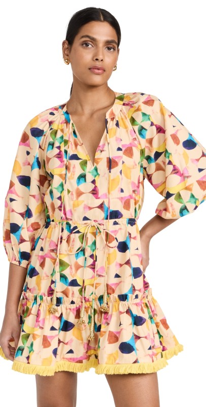 ALEXIS Kasi Dress Multi