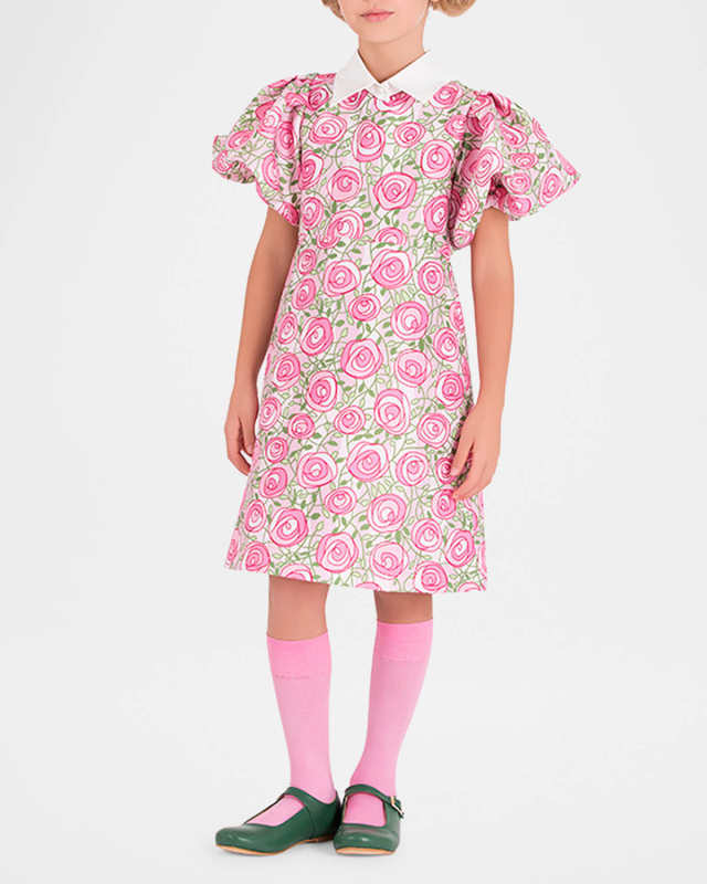 Girl's Rose-Print Balloon Sleeve Dress, Size 3T