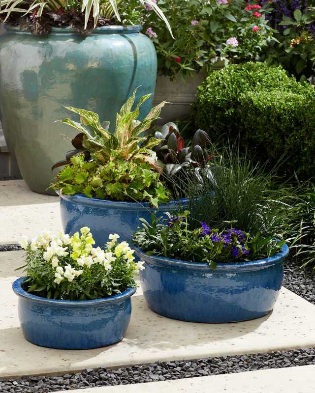 Shallow Ceramic Lip Planters, Set of 3