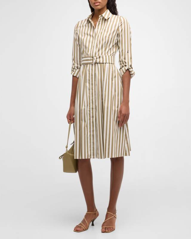 Kodak Stripe Belted Cotton Poplin Shirtdress