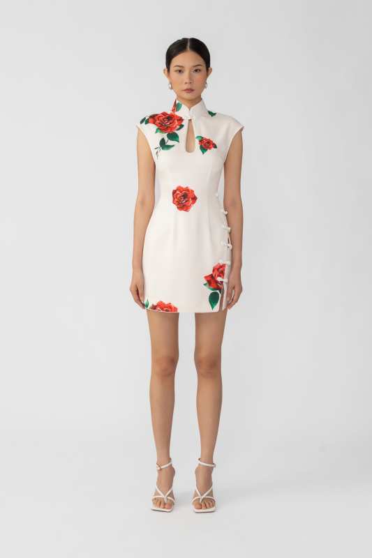 Raya Rosa Mini Dress