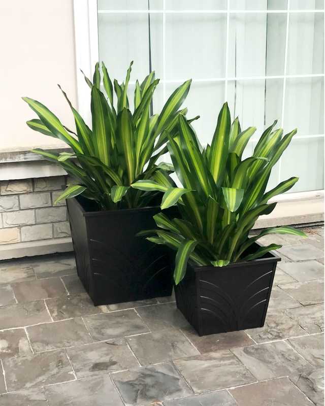 Palm Outdoor 2-Pack Planter Boxes, 18" & 24"