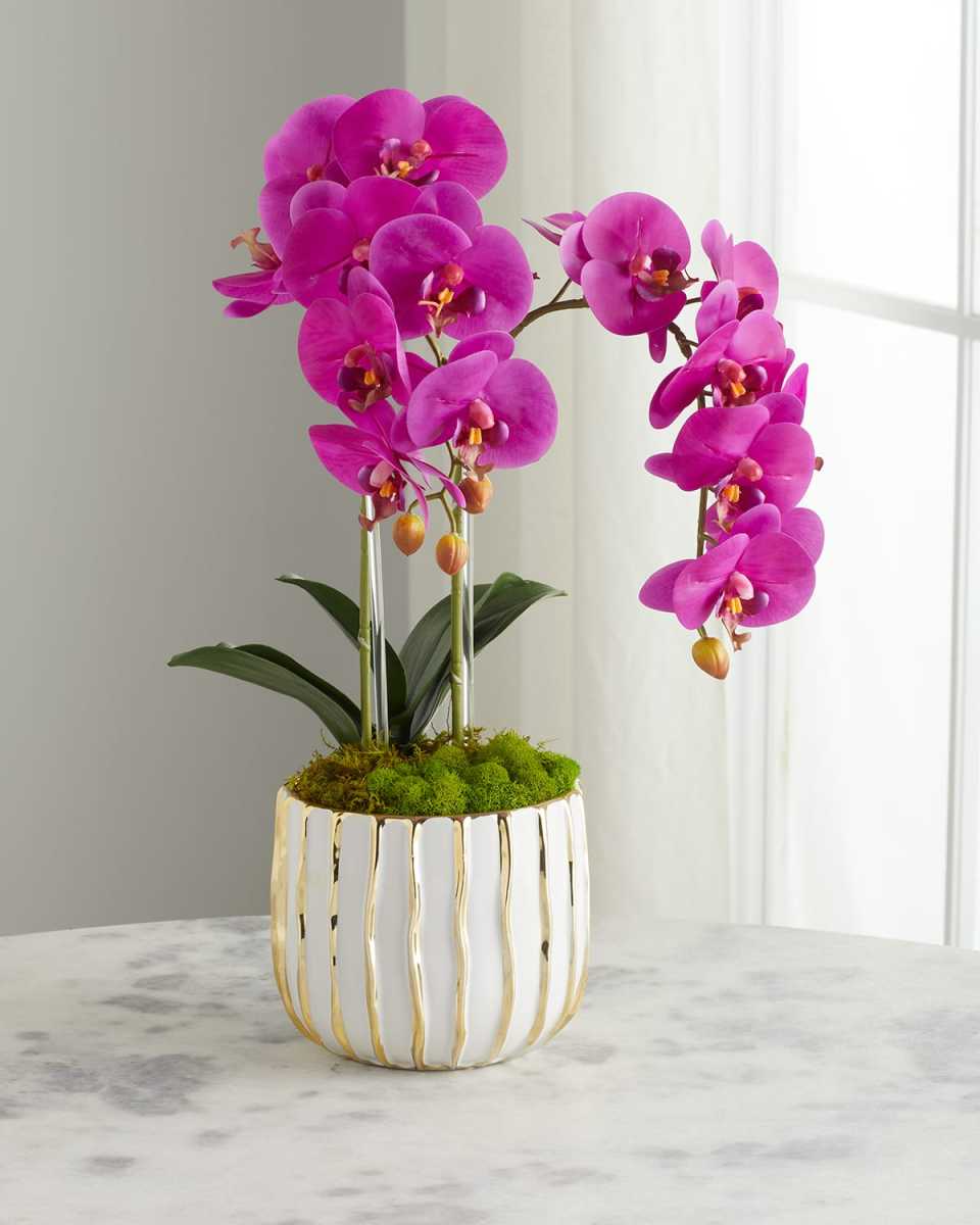 White Orchid in White/Gold Pot
