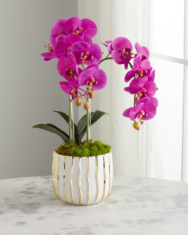 White Orchid in White/Gold Pot