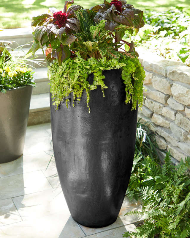 Tall Ceramic Jar