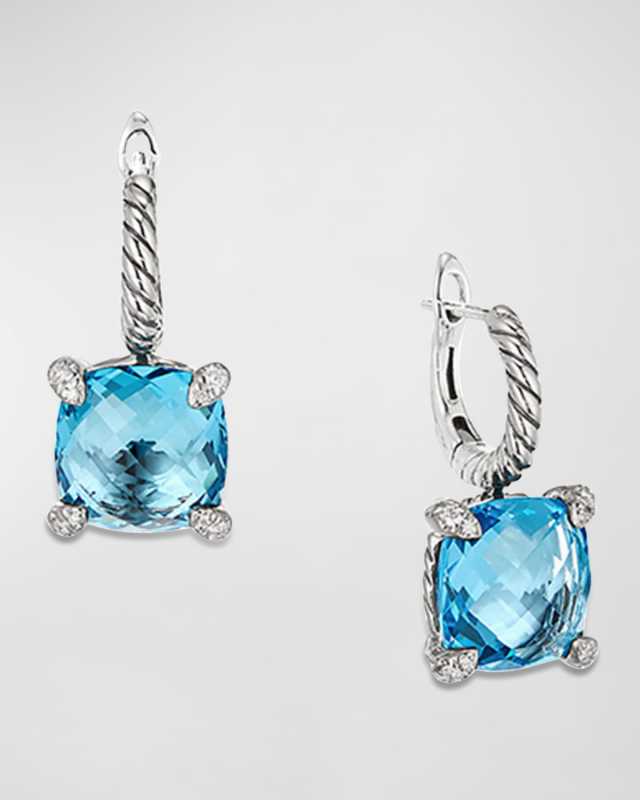 Chatelaine Drop Earrings