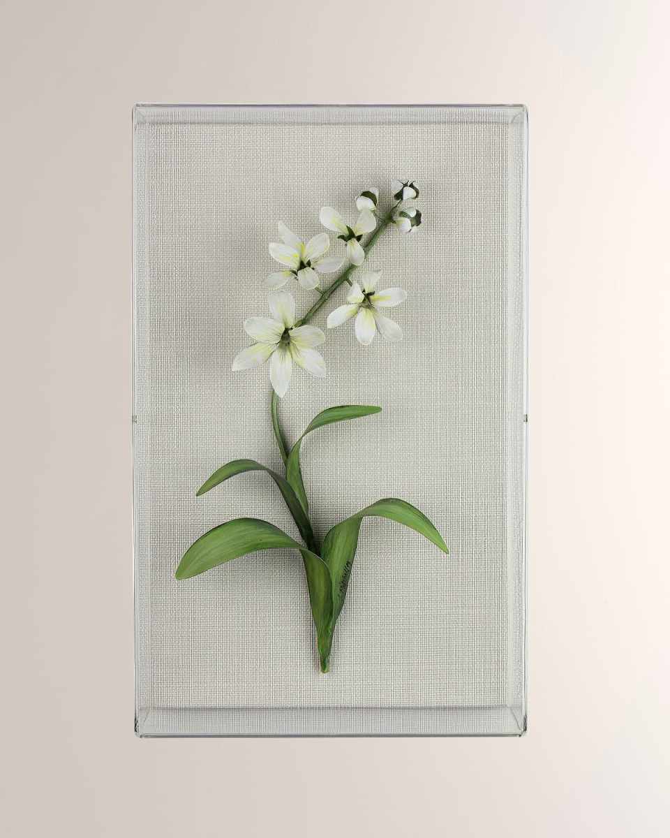 Freesia March Birth Flower Wall Art