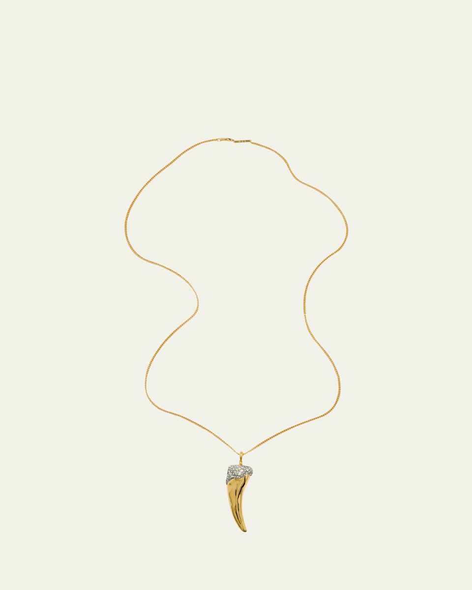 Solanales Crystal Horn Long Necklace