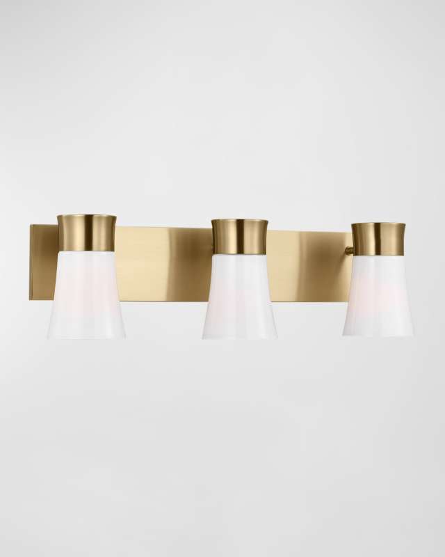 Roy 3-Light Vanity by Drew & Jonathan