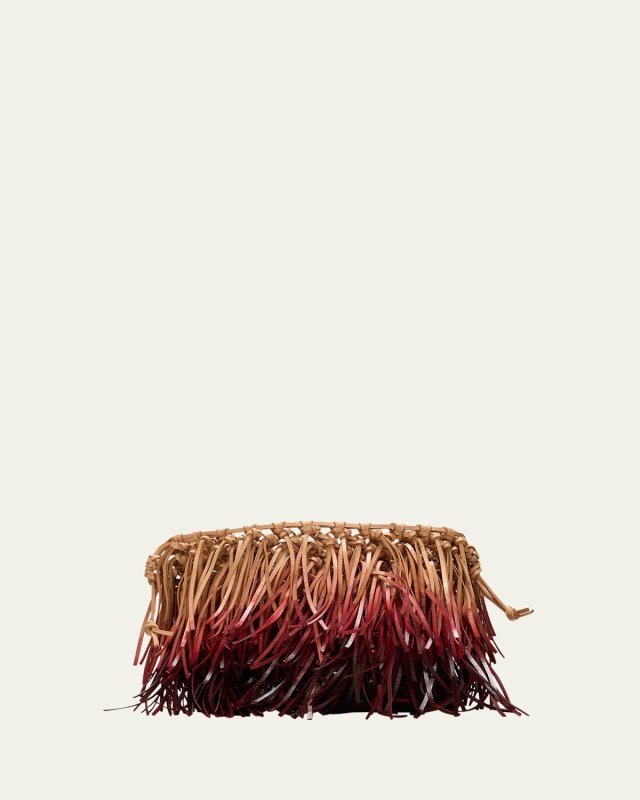 Ombre Fringe Leather Crossbody Bag
