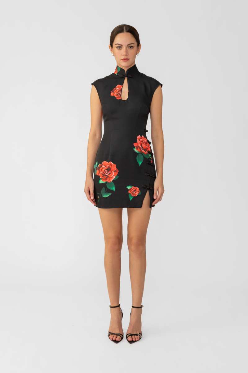 Raya Rosa Mini Dress