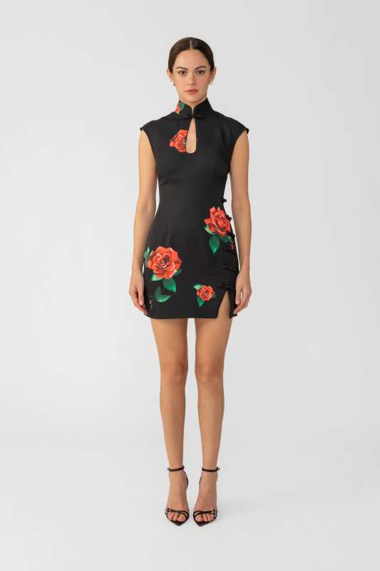 Raya Rosa Mini Dress
