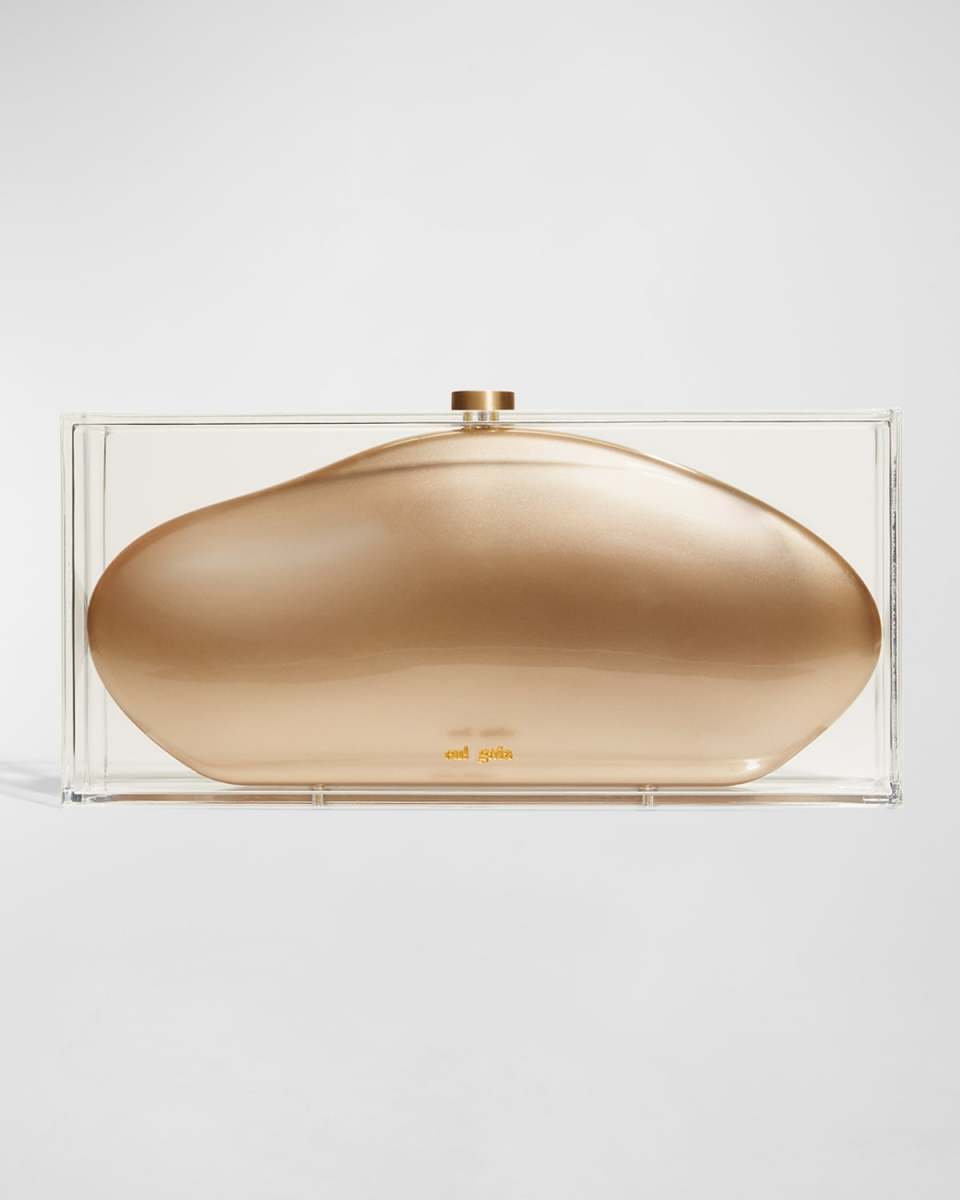 Annika Clear Acrylic Clutch Bag