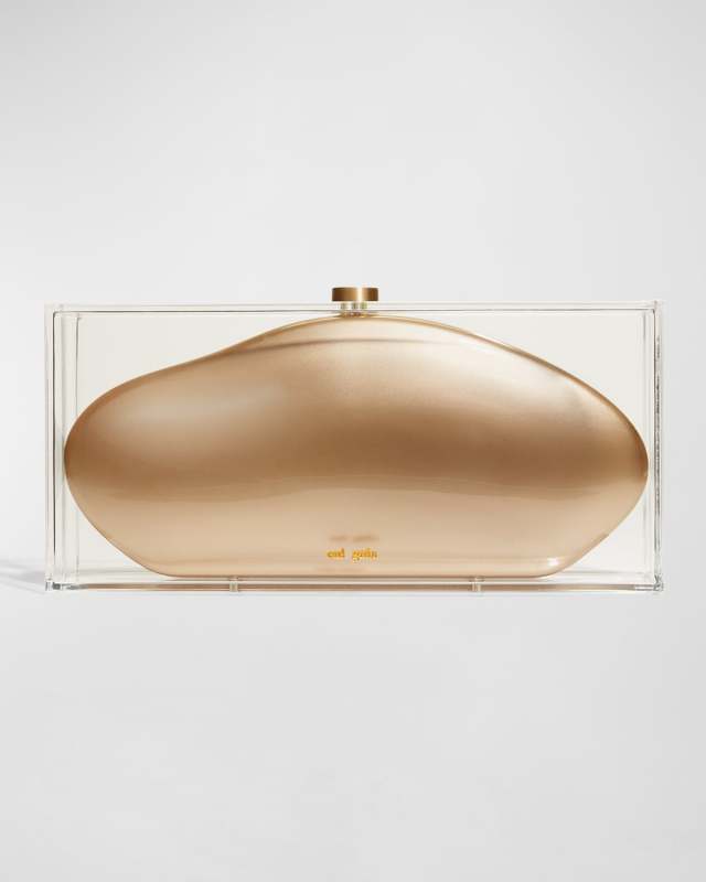 Annika Clear Acrylic Clutch Bag