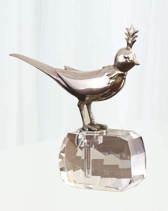 Bird on Crystal Rock