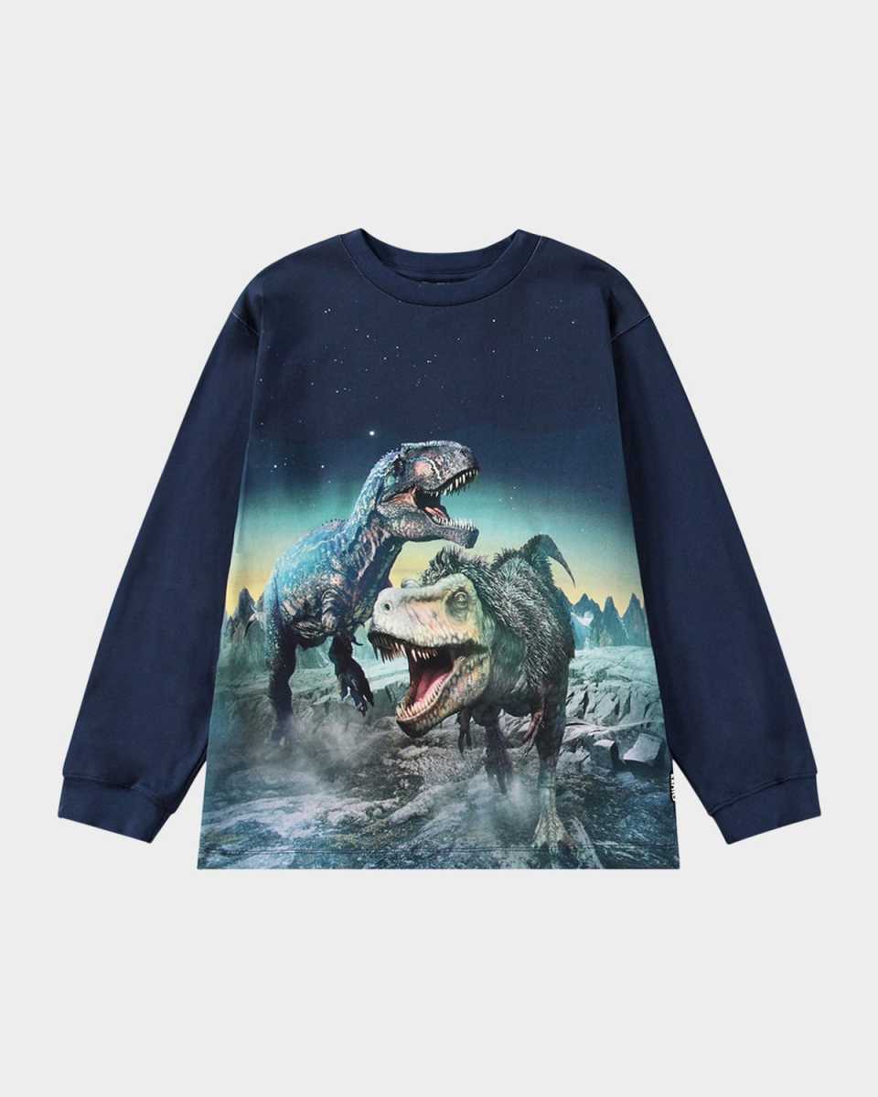 Boy's Rube Dinosaur Graphic T-Shirt, Size 8-10