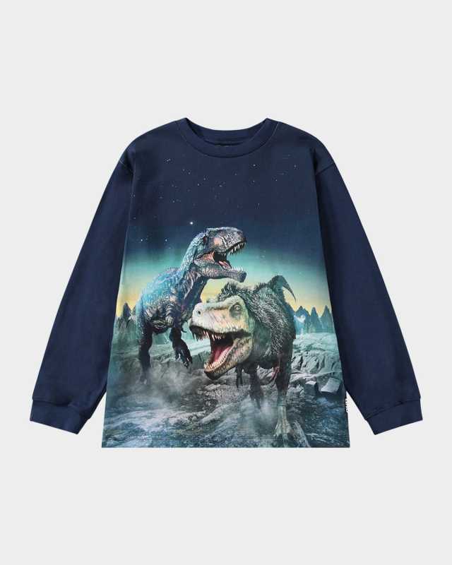 Boy's Rube Dinosaur Graphic T-Shirt, Size 8-10