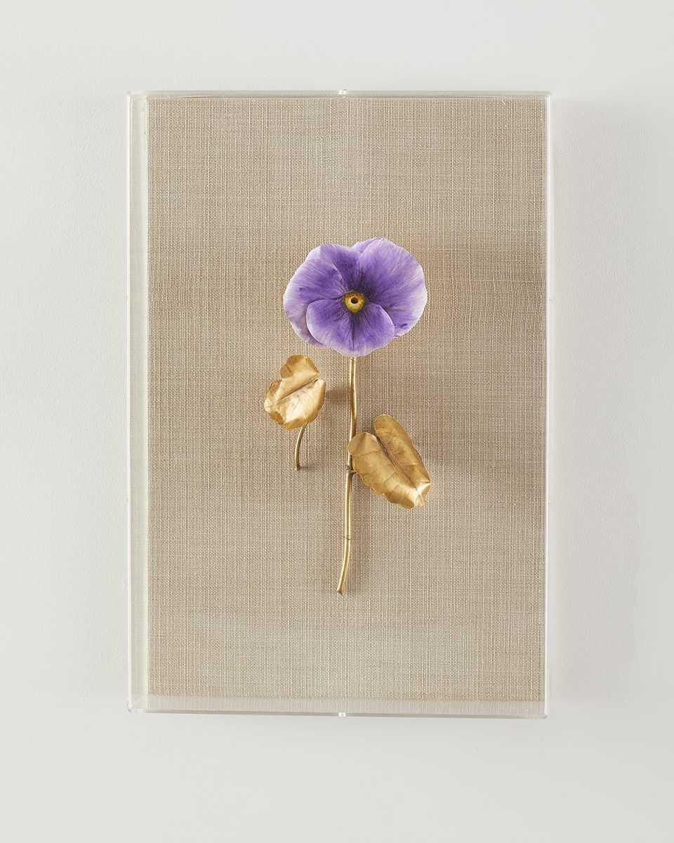 "Pansy Study 5" Wall Art