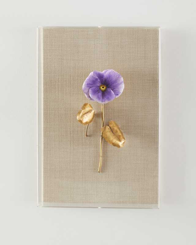 "Pansy Study 5" Wall Art