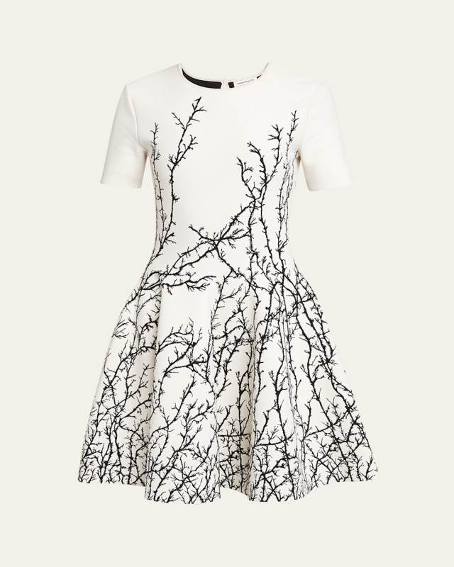 Thorn Embroidered Jacquard Flared Mini Dress