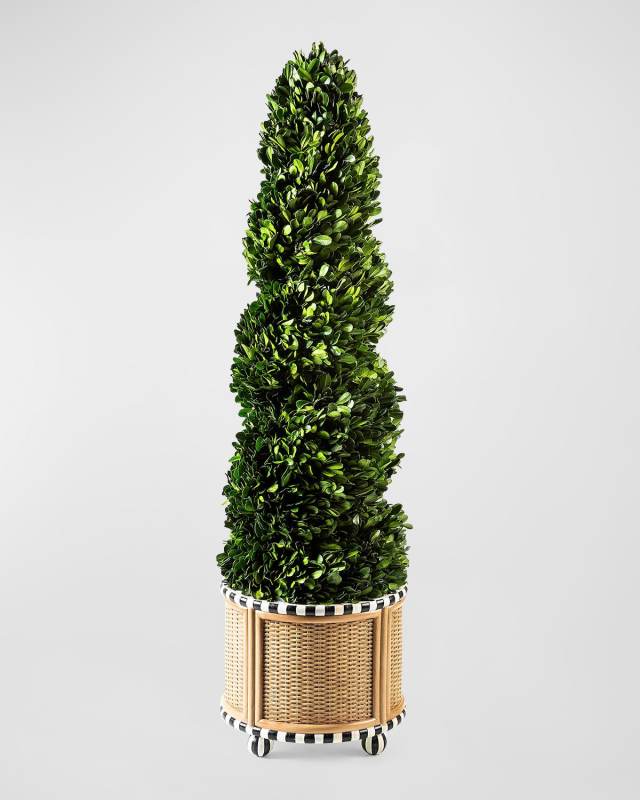 Medium Preserved Spiral Boxwood Topiary in Basketweave Base - 34"