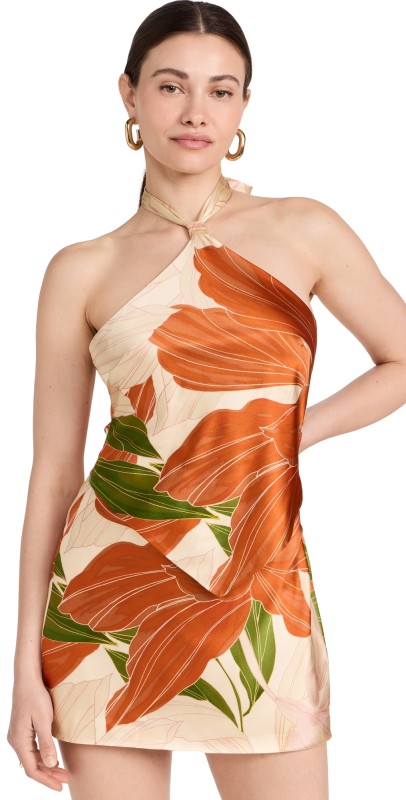 Retrofête Adelaide Dress Neutral Botanical