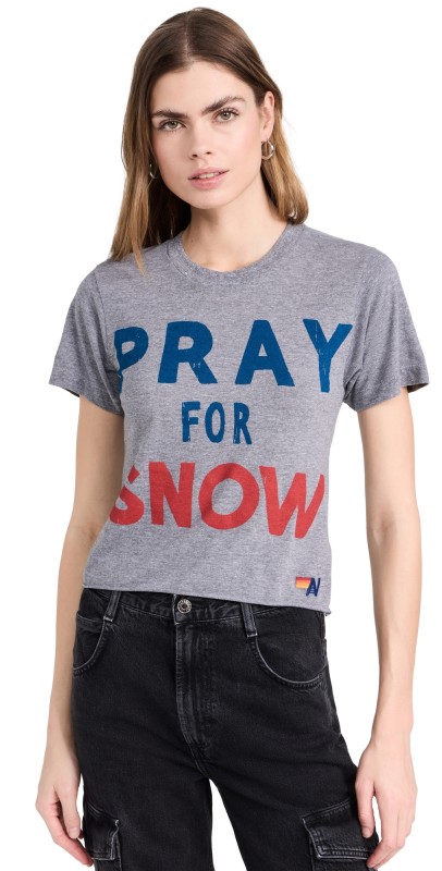 Aviator Nation Pray For Snow Boyfriend Tee Heather Grey