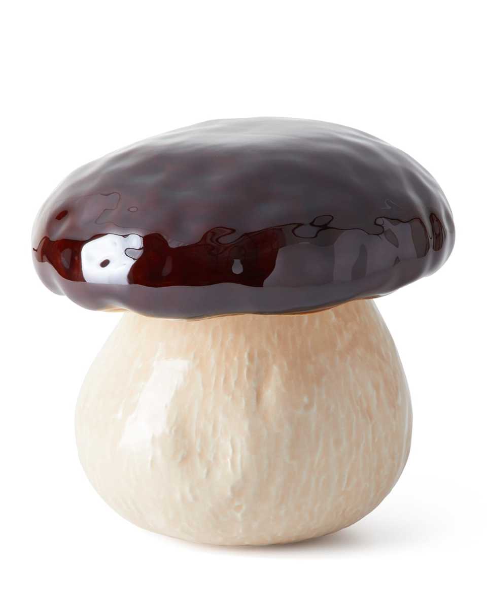 Medium Mushroom Cogumelo Box