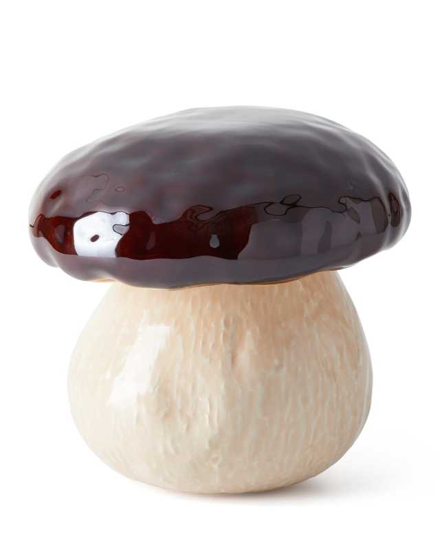 Medium Mushroom Cogumelo Box