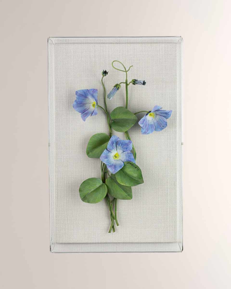 Morning Glory September Birth Flower Wall Art