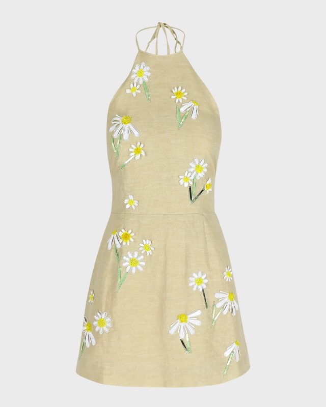 Delilah Embroidered Linen Mini Dress