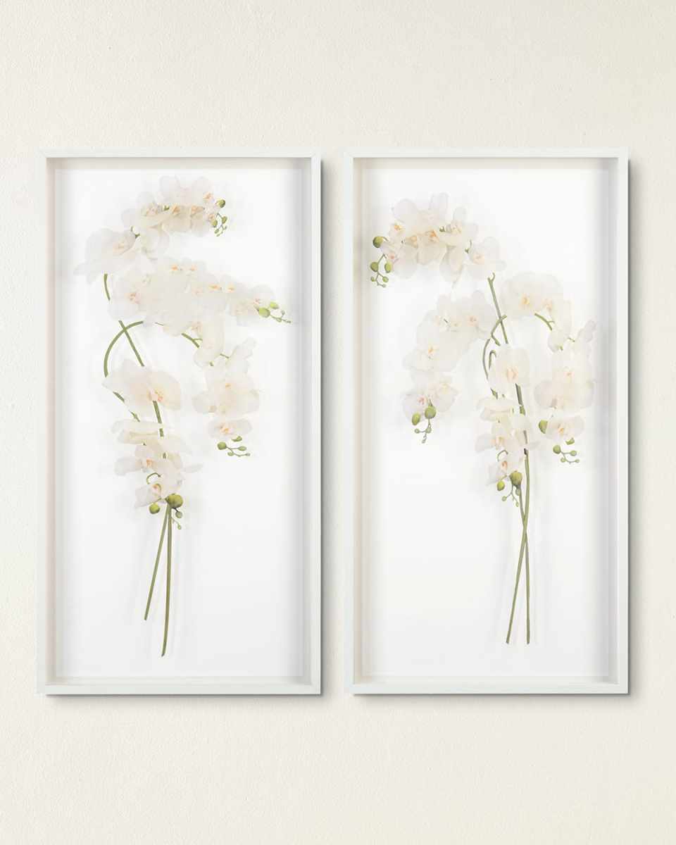 "Study of Orchids II" Wall Art