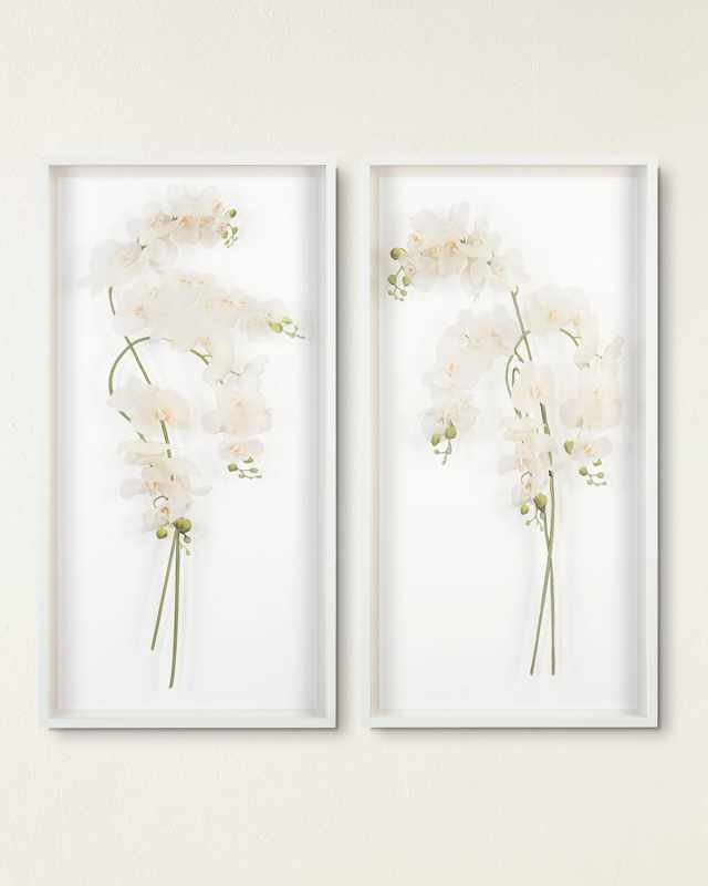 "Study of Orchids II" Wall Art
