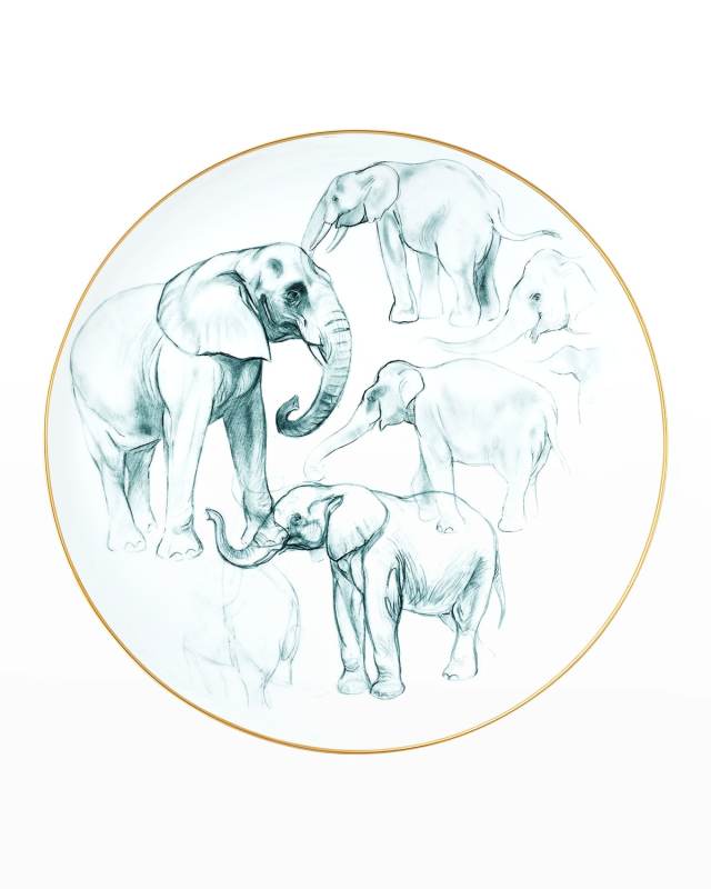 Carnets D'Equateur Large Centerpiece