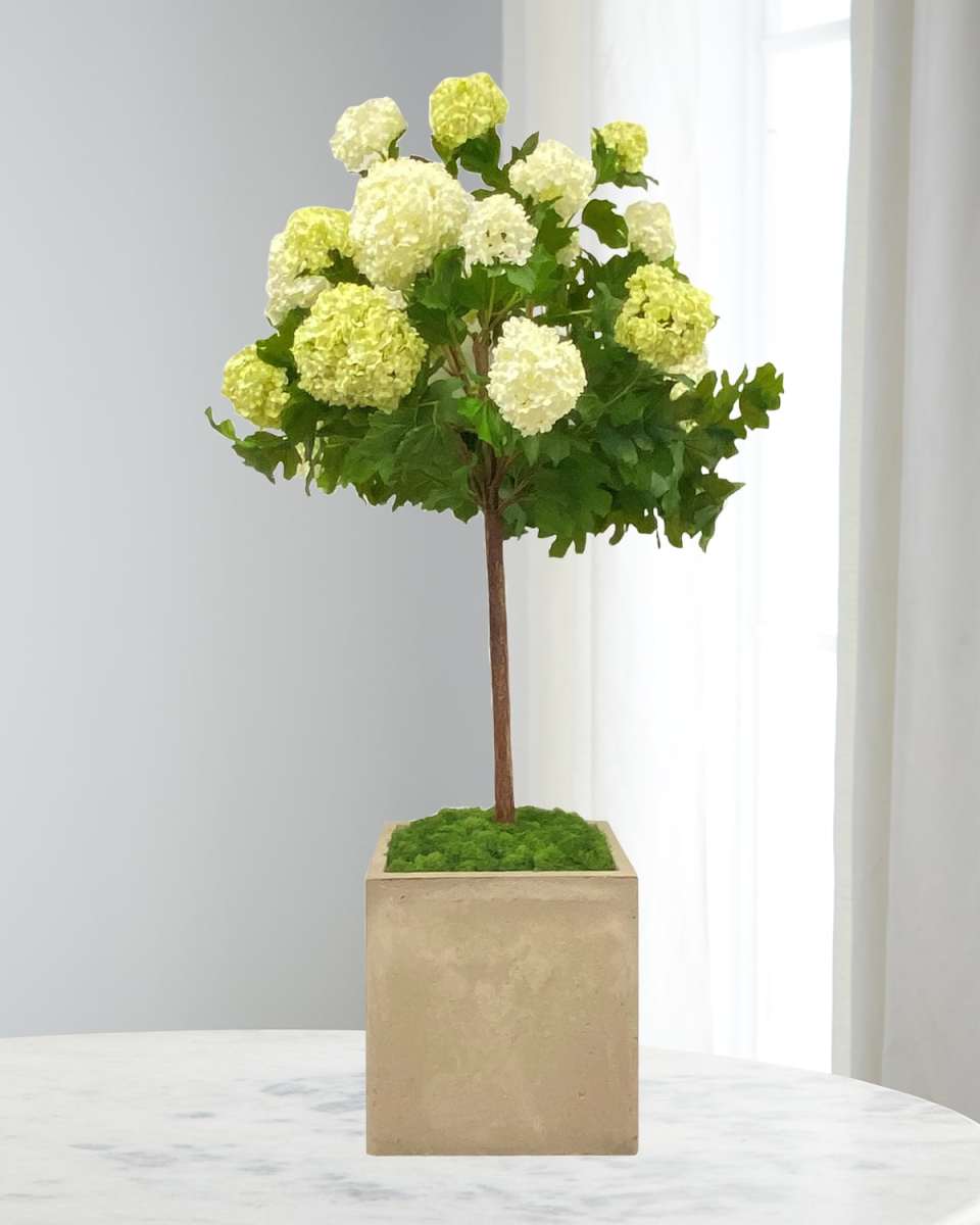 Snowball in Square Pot