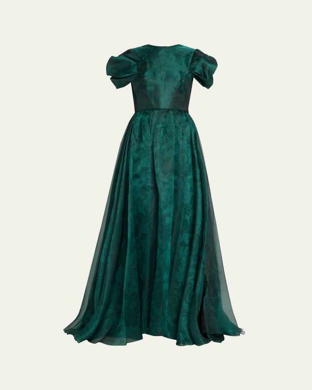 Printed Organza Draped Sleeve Gown