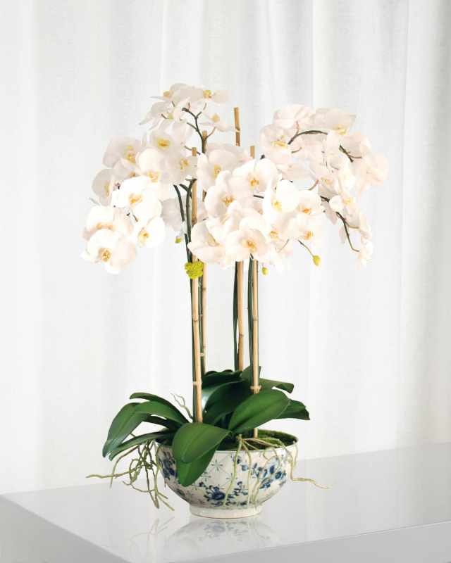 Phalaenopsis in Rose Trellis Bowl