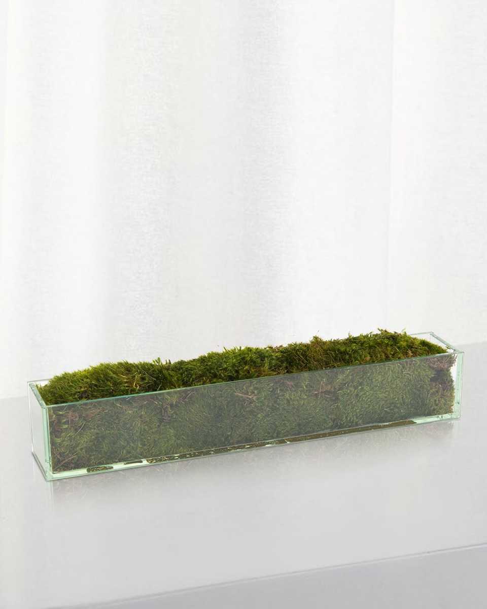 24" Moss Mound Arrangement