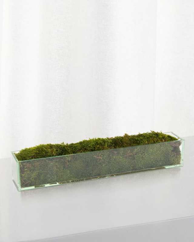 24" Moss Mound Arrangement