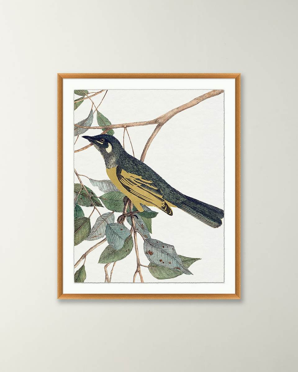 'Birds Of A Feather 2' Wall Art