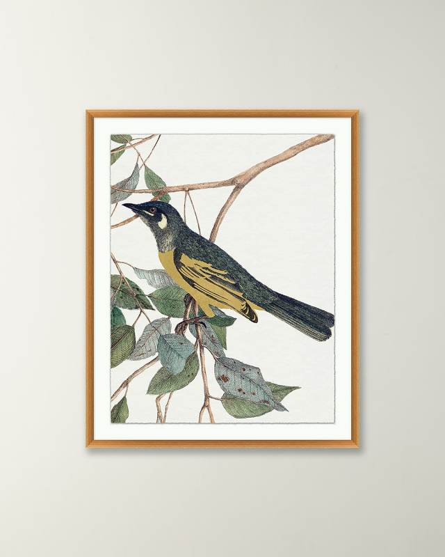 'Birds Of A Feather 2' Wall Art